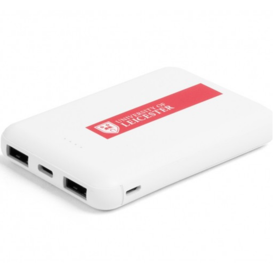 Portable Power Companion