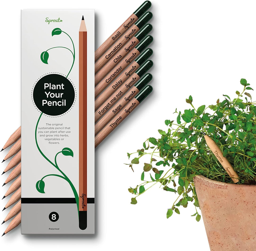 Eco-Friendly Sprout Pencils