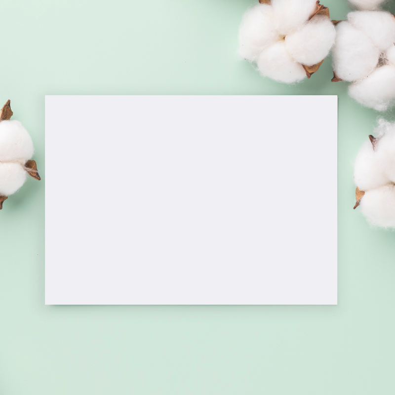 Eco-Friendly Recycled Card Set
