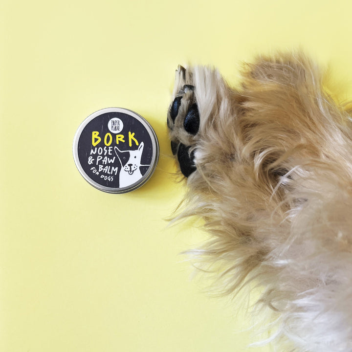 Luxury Dog Shampoo Bar