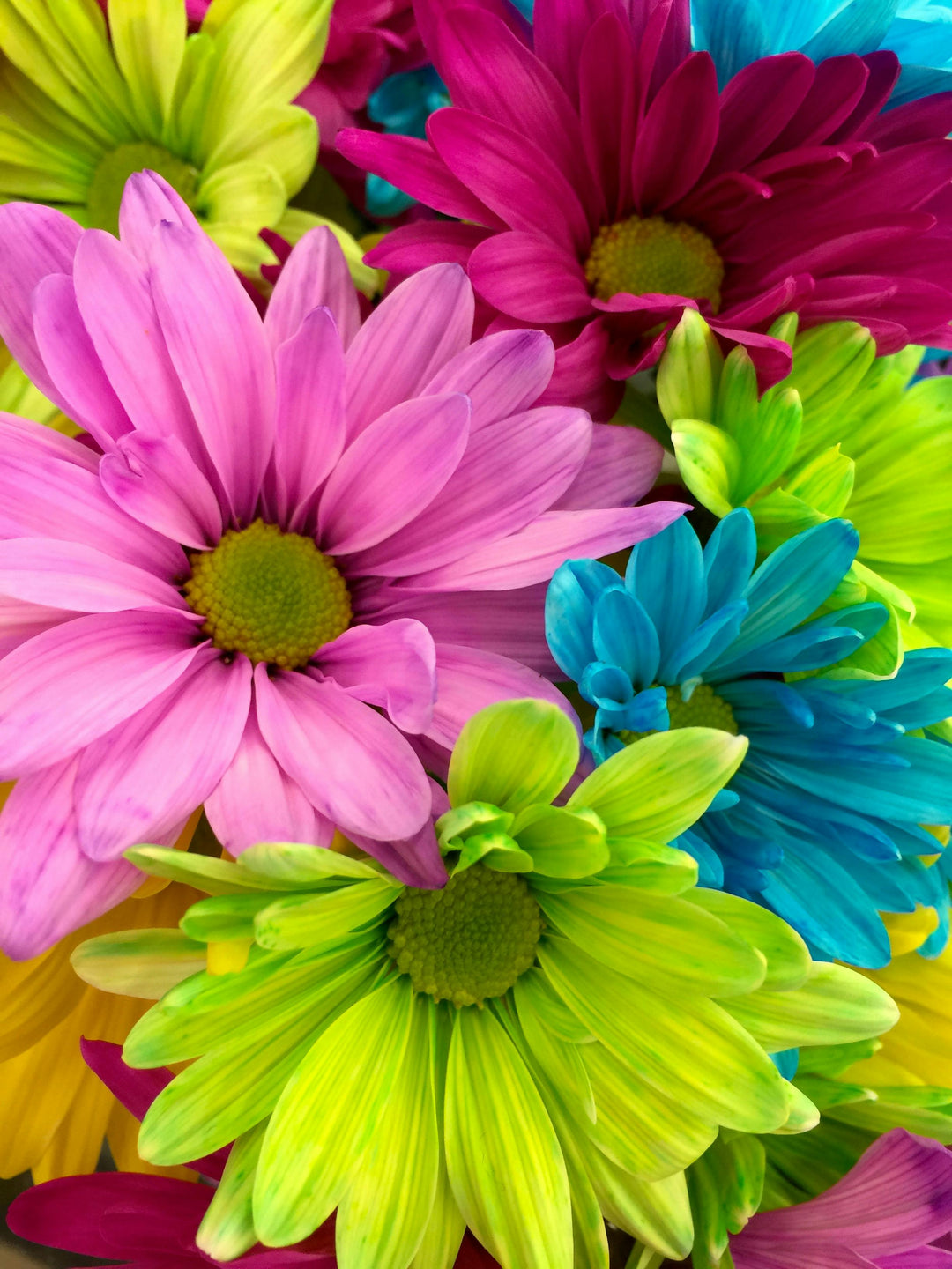 Bunch of flowers