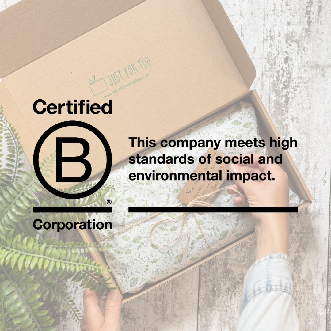 B Corp Gift Box