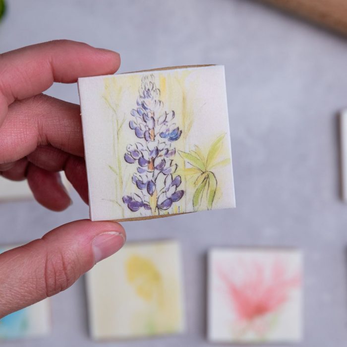 Delicate Floral Biscuits