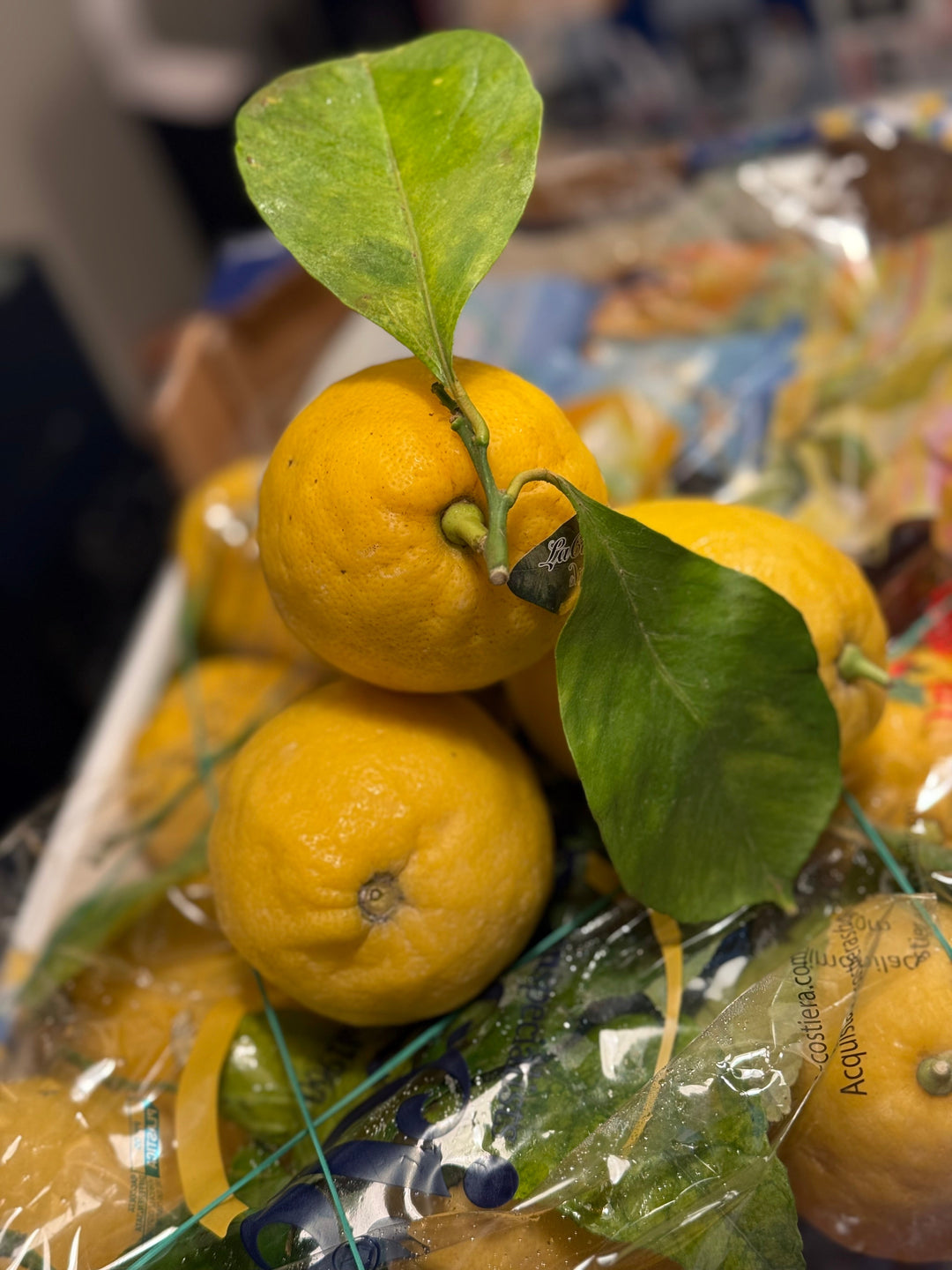 Wild Atlantic Amalfi Lemon Vodka