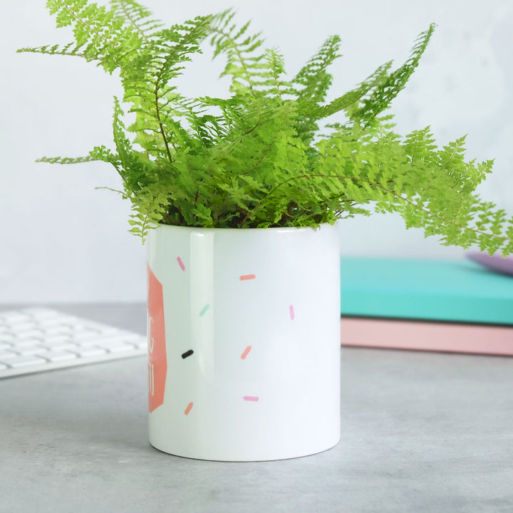 I'm Rooting For You Ceramic Plant Pot