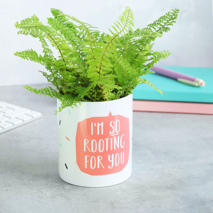 I'm Rooting For You Ceramic Plant Pot