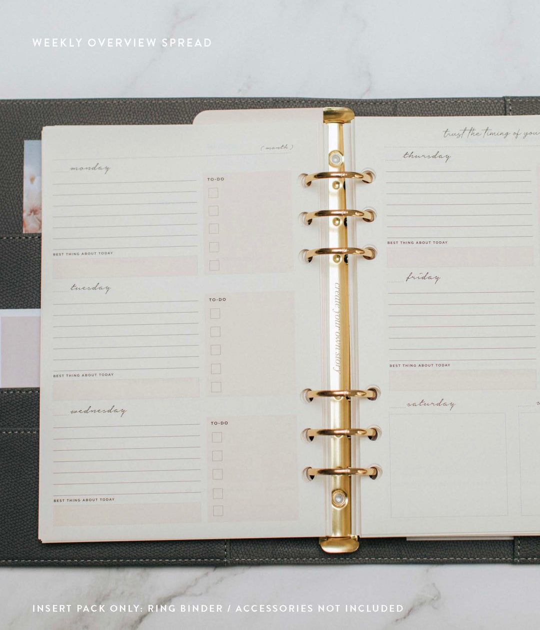 Undated Lifestyle Weekly Planner Insert Pack