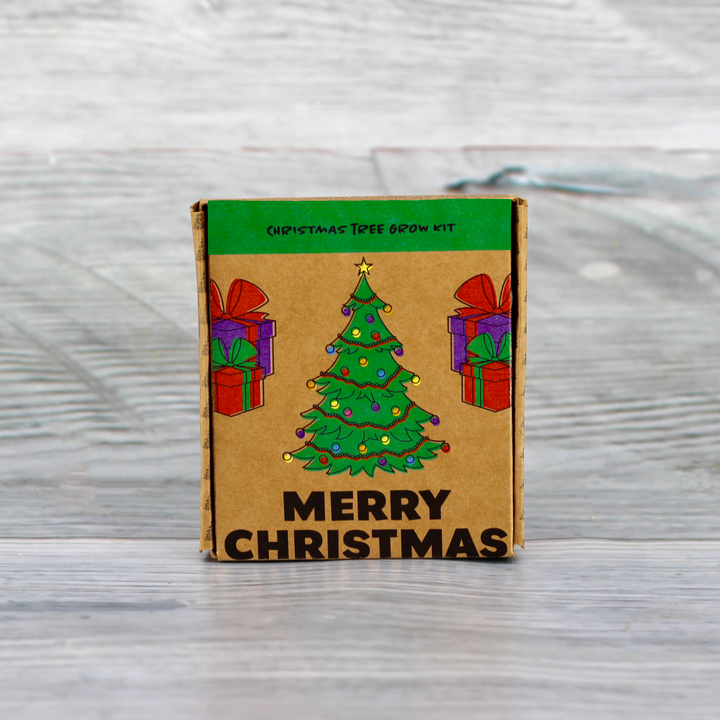 Grow Your Own Christmas Fir Tree Kit