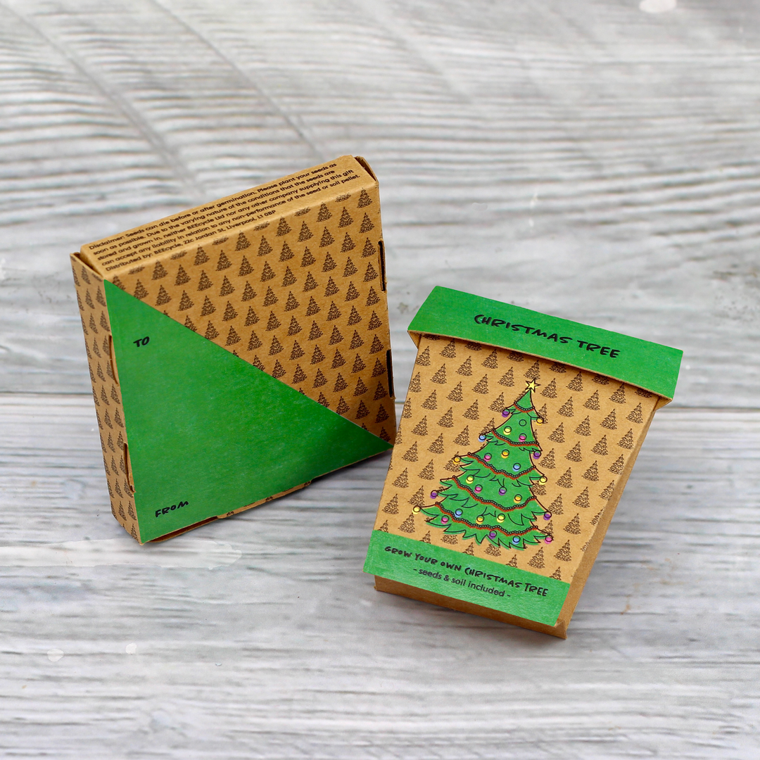 Grow Your Own Christmas Fir Tree Kit