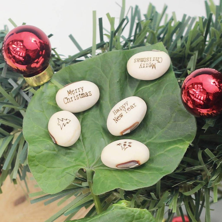 Magical Message Beanstalk Seeds