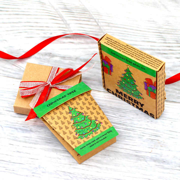Grow Your Own Christmas Fir Tree Kit