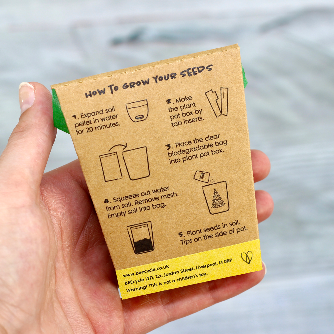 Grow Your Own Christmas Fir Tree Kit