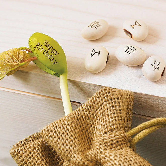 Magical Message Beanstalk Seeds