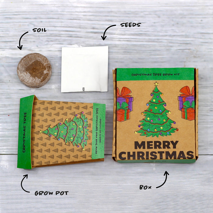 Grow Your Own Christmas Fir Tree Kit