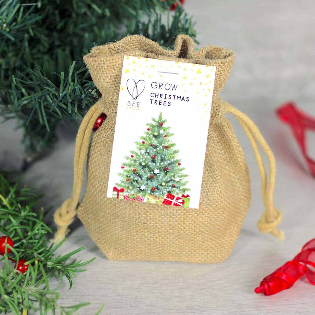 Merry Christmas Tree Jute Grow Kit
