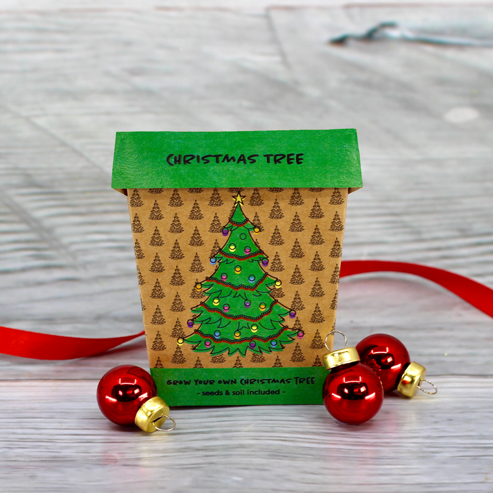 Grow Your Own Christmas Fir Tree Kit
