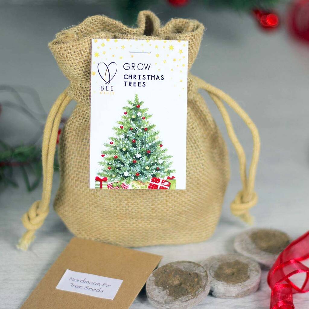 Merry Christmas Tree Jute Grow Kit