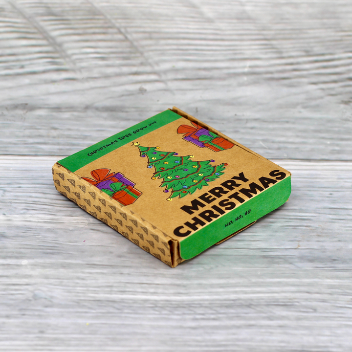 Grow Your Own Christmas Fir Tree Kit